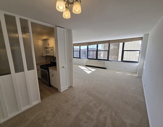 3440 N Lake Shore Dr in Chicago, IL - Building Photo - Building Photo