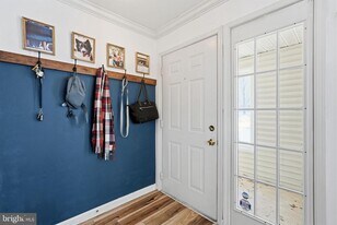 6603 Netties Ln in Alexandria, VA - Building Photo