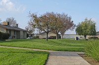 Lindsay Senior Villa in Lindsay, CA - Foto de edificio - Building Photo