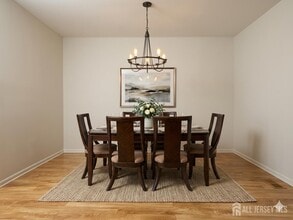 406 Birch Ct in New Brunswick, NJ - Building Photo - Building Photo