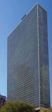 111 East Chestnut Condominium in Chicago, IL - Building Photo - Building Photo