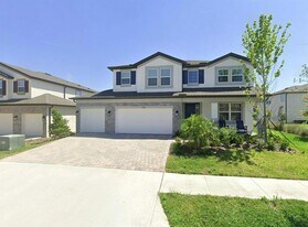 33234 Sycamore Leaf Dr in Wesley Chapel, FL - Building Photo