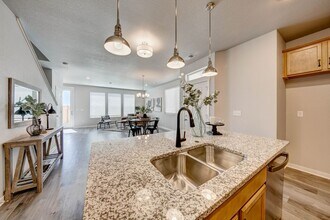 4504 Barrow Ln in Timnath, CO - Building Photo - Building Photo