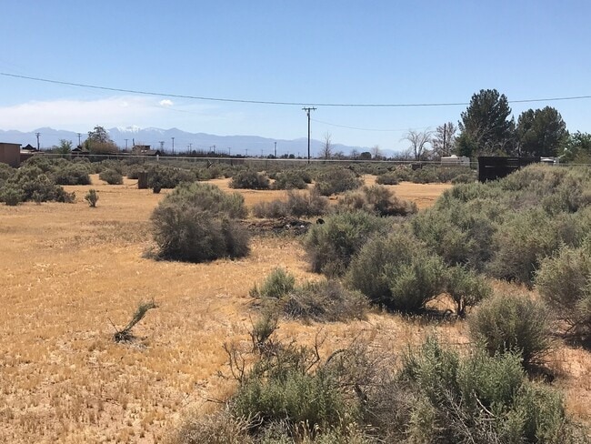 13828 Olema Rd in Apple Valley, CA - Foto de edificio - Building Photo