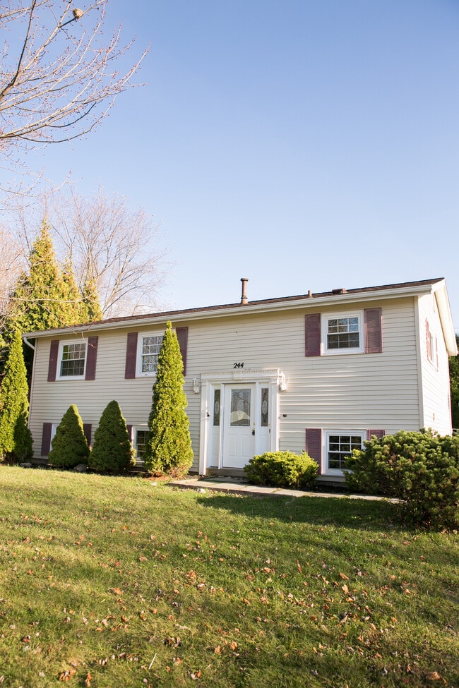 property at 244 Vollmer Pkwy