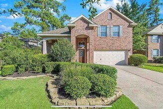 14 Pleasant Point Pl in Spring, TX - Building Photo - Building Photo