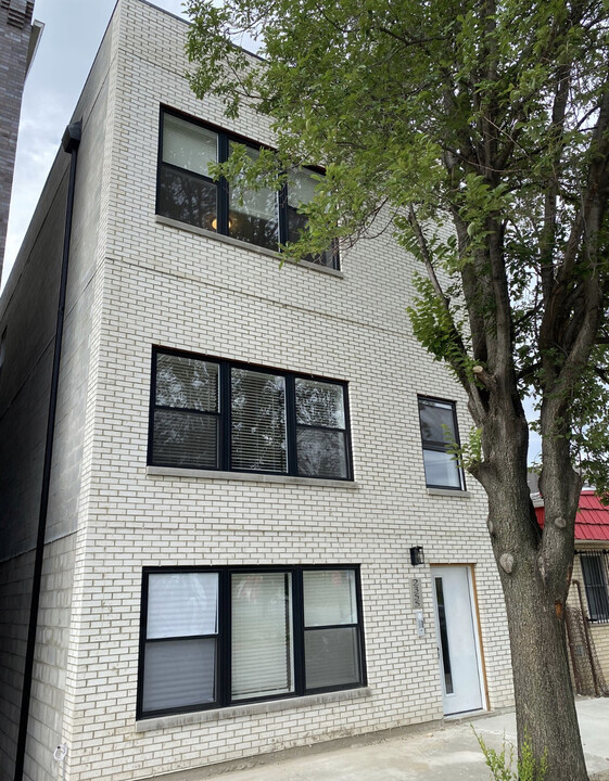 2355 W 18th Plz in Chicago, IL - Building Photo