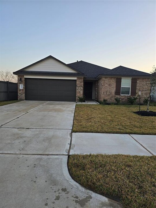 1146 Appaloosa Ln in Rosharon, TX - Building Photo