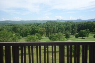120 Bent Tree Dr in Laurel Park, NC - Building Photo