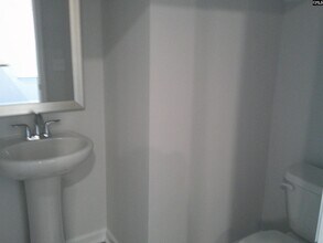 1122 Turtle Stone Rd in Blythewood, SC - Building Photo - Building Photo