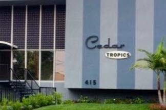 Cedar Tropics