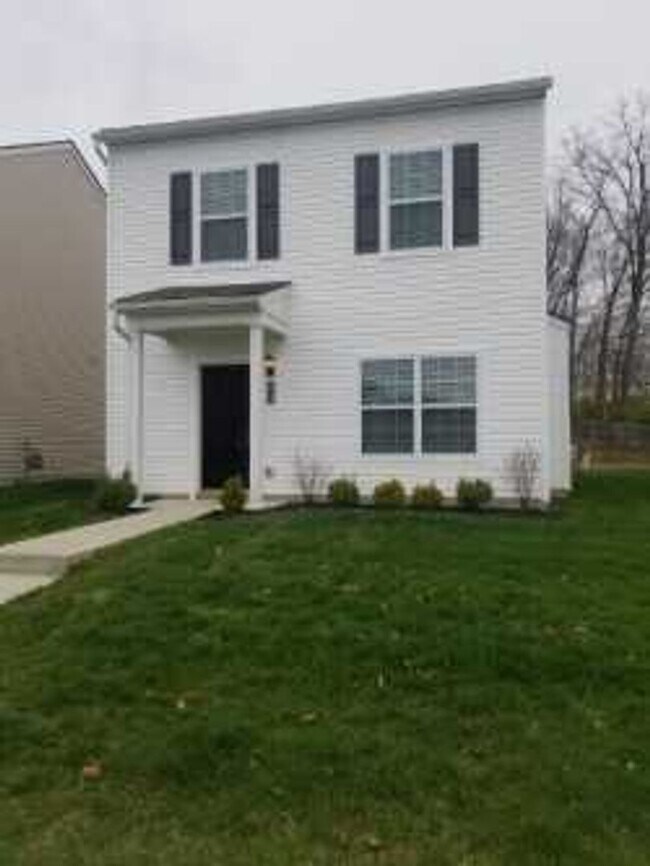 Alkire Woods 7262a