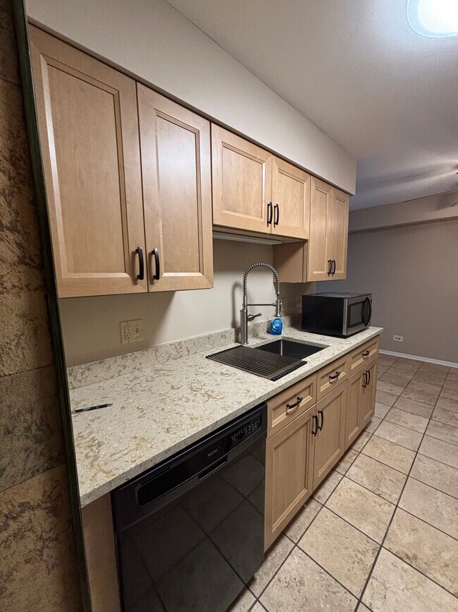 2632 Pirates Cv, Unit 2632 Pirates Cove #6 in Schaumburg, IL - Foto de edificio - Building Photo