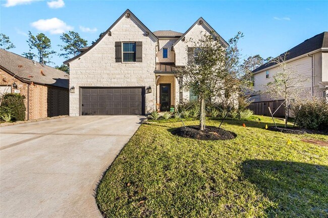 118 Dorado Sky Ct in Willis, TX - Building Photo - Building Photo