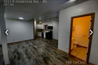 1013 N Hermitage Ave in Chicago, IL - Building Photo - Building Photo