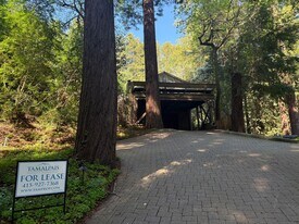 10 Lyon Pl in Mill Valley, CA - Building Photo