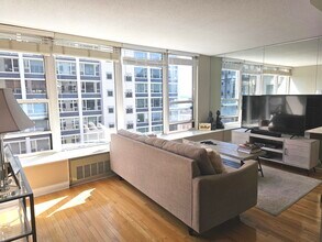 1313 N Ritchie Ct in Chicago, IL - Building Photo - Building Photo