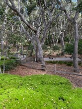 5476 Quail Meadows Dr in Carmel, CA - Building Photo - Building Photo
