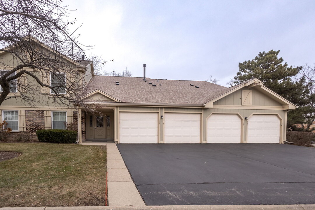 246 Thornapple Ct in Buffalo Grove, IL - Building Photo