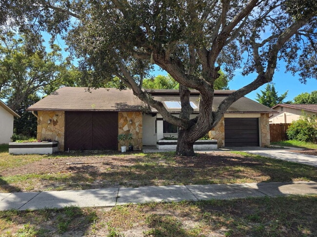 11425 Scallop Dr in Port Richey, FL - Building Photo - Building Photo