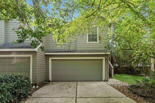 7 Verbena Bend Pl in Spring, TX - Building Photo