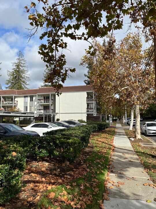 4081 Clayton Rd in Concord, CA - Building Photo