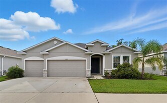 13811 Whiskey Daisy Dr in Dade City, FL - Building Photo