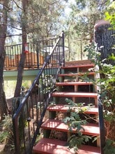 8305 Bonnie Brae Dr in Pine, AZ - Building Photo - Building Photo