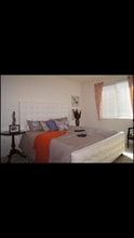 284 Currlin Cir in Milpitas, CA - Foto de edificio - Building Photo
