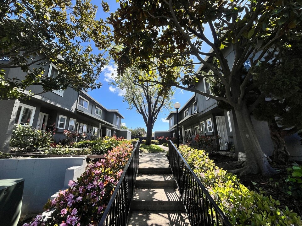 3348 Landess Ave in San Jose, CA - Building Photo