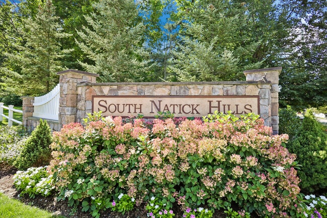 13 Morgan Dr, Unit 206 in Natick, MA - Building Photo - Building Photo