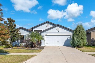 11908 Winterset Cove Dr in Riverview, FL - Building Photo