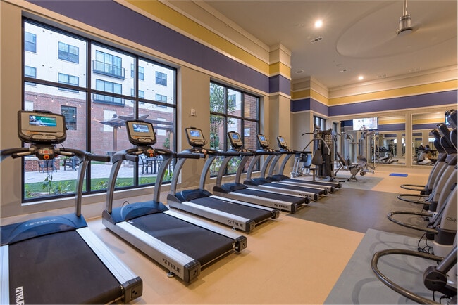 The Standard at Knoxville in Knoxville, TN - Building Photo - Building Photo