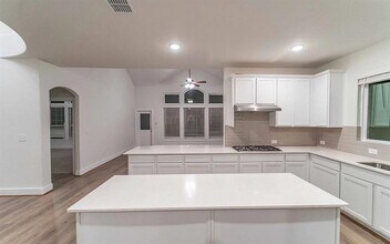 213 Alicante Ln in Liberty Hill, TX - Building Photo - Building Photo