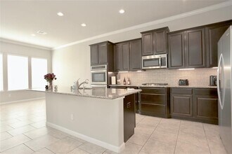 28902 Grand Teton Ct in Katy, TX - Building Photo - Building Photo