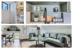 1073 N Downing St, Unit SI ID1026249P in Denver, CO - Building Photo