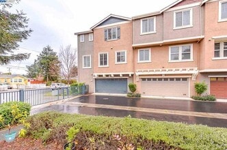37421 Glenbrook Ter in Fremont, CA - Building Photo - Building Photo