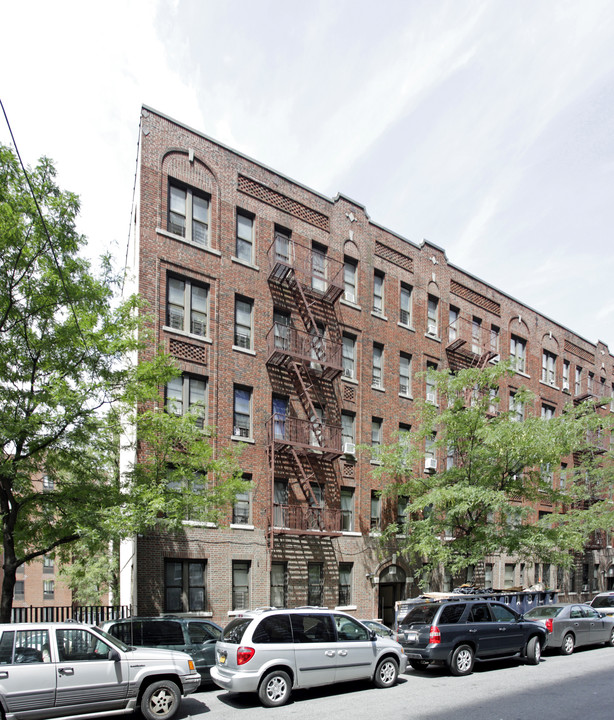 2541 Olinville Ave in Bronx, NY - Building Photo