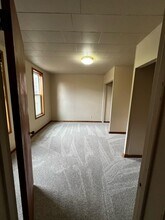 318 N Cass Ave in Springfield, MN - Building Photo - Building Photo