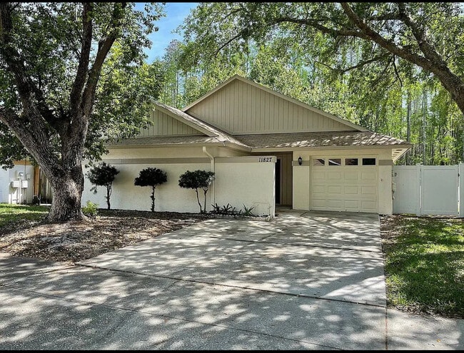 property at 11827 Hickorynut Dr