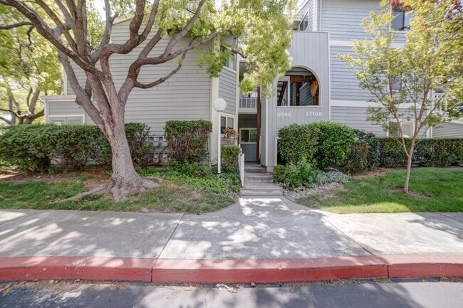 3648 Birchwood Terrace in Fremont, CA - Building Photo - Building Photo