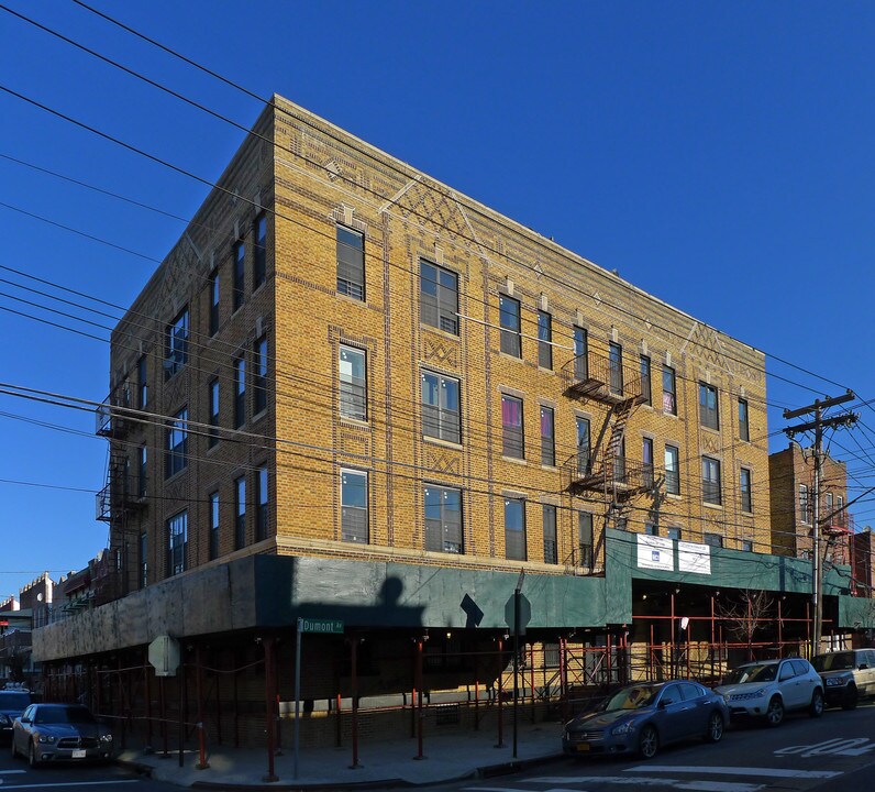 973 Dumont Ave in Brooklyn, NY - Foto de edificio