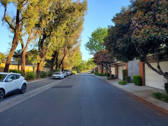 16807 Camden Ln in Cerritos, CA - Building Photo - Building Photo