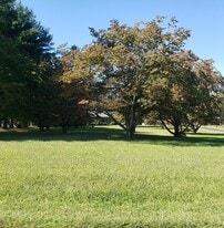 7285 Beulah Church Rd in Mechanicsville, VA - Building Photo