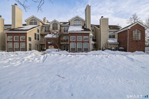 299 Carriage Crossing Ln in Middletown, CT - Building Photo