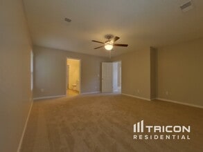 244 Wild Olive Dr in Columbia, SC - Building Photo - Building Photo