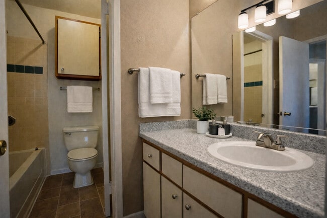 The Point at Windmill Lakes in Houston, TX - Building Photo - Building Photo