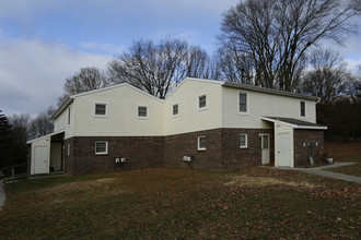 Robertson Court in Ionia, MI - Foto de edificio - Building Photo