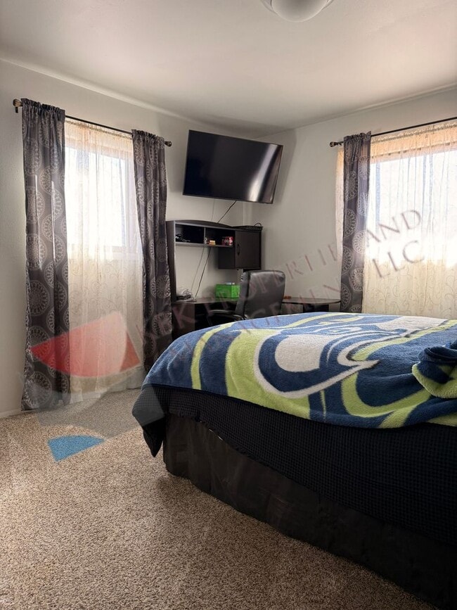 6230 County Rd 106.25 S in Alamosa, CO - Building Photo - Building Photo