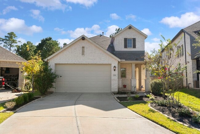 254 Aster View Ct in Montgomery, TX - Building Photo - Building Photo